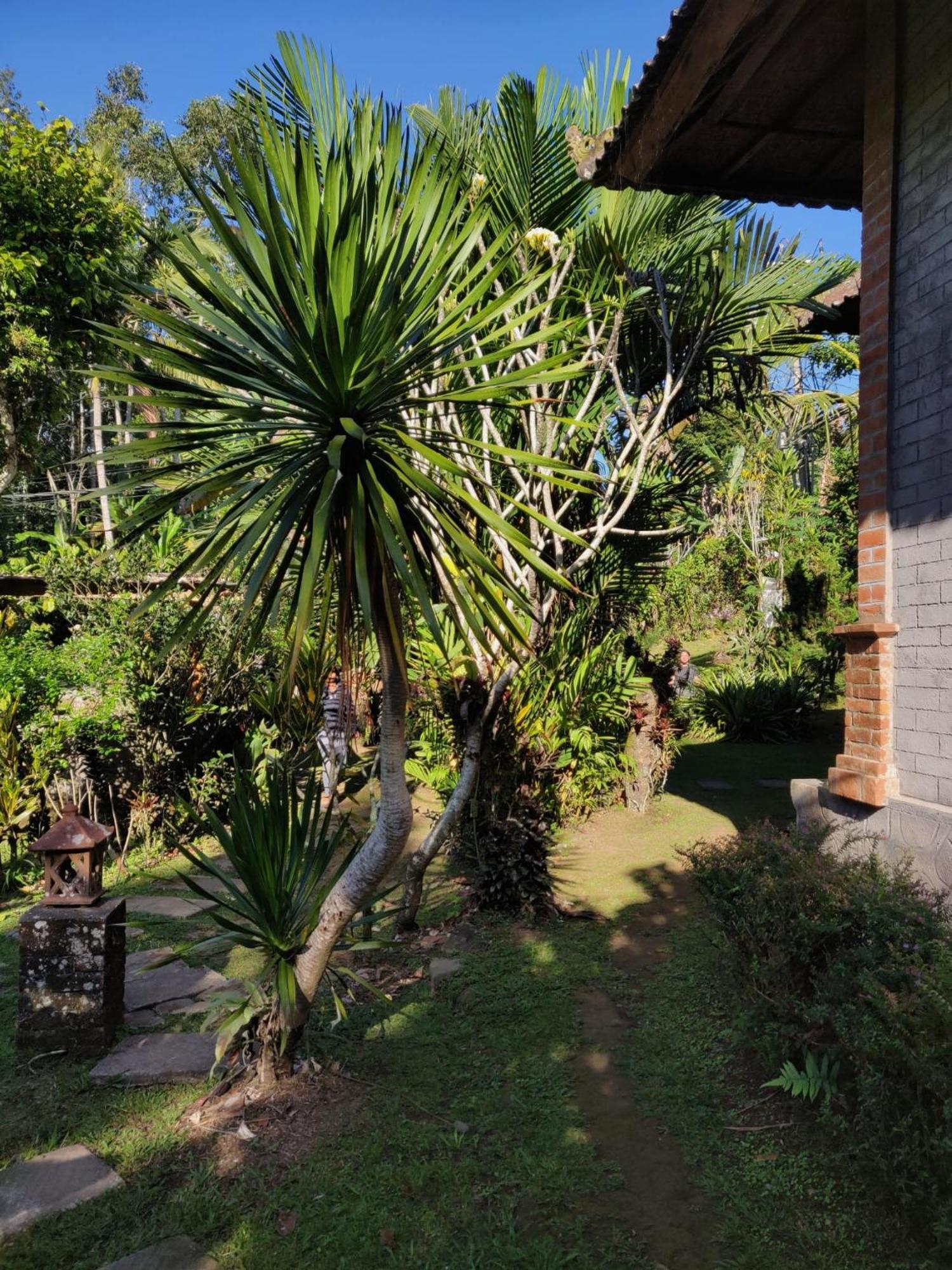 Dina Home Stay At Desa Wisata Wongayagede Jatiluwih Exterior foto